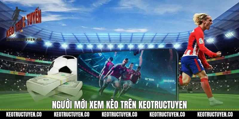 Người mới xem kèo trên keotructuyen