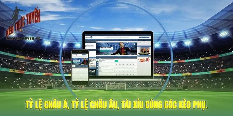tỷ lệ châu Á, tỷ lệ châu Âu, tài xỉu cùng các kèo phụ.